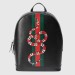 Gucci Black Backpack Web And Kingsnake Print Leather