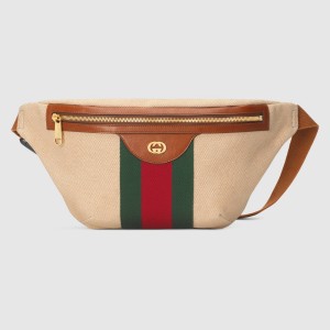 Gucci Vintage Canvas Belt Bag