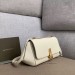 Bottega Veneta Small BV Angle Bag In White Palmellato