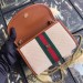 Gucci Rajah Mini Bag In Beige vintage Canvas