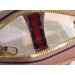 Gucci Ophidia Mini Transparent Bag