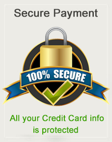 secure payment